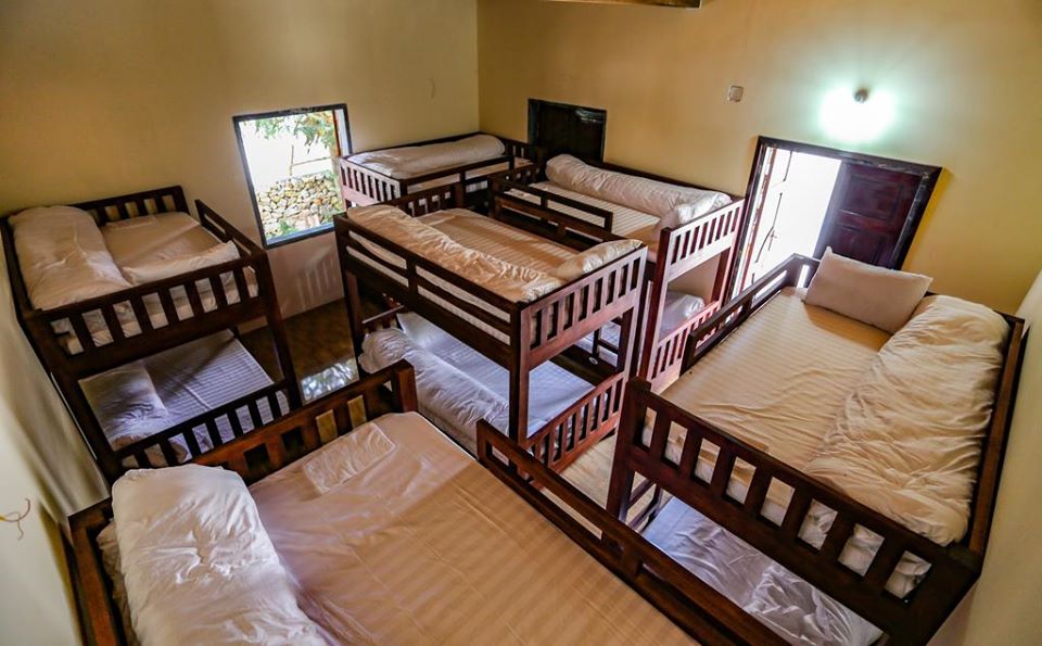 57154953_2424572034442570_6172511974568493056_o