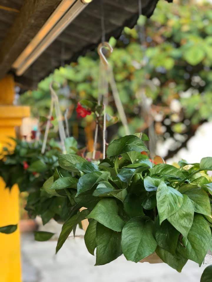 7bf4e9dcc8ba2ee477ab38