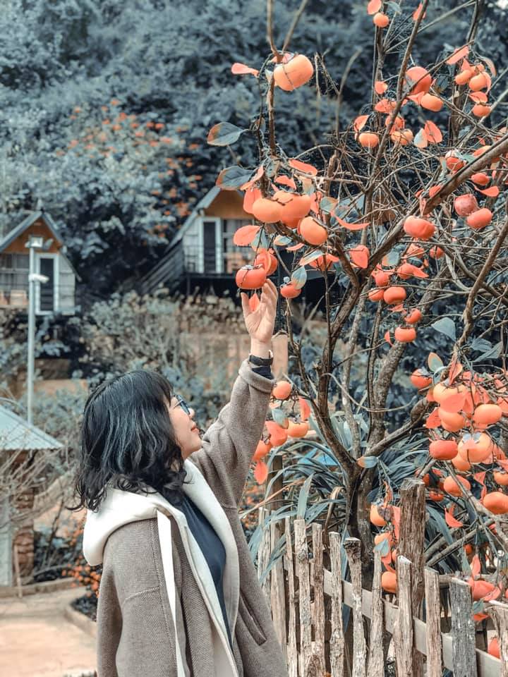 80257921_765370977275463_3798844027227340800_n