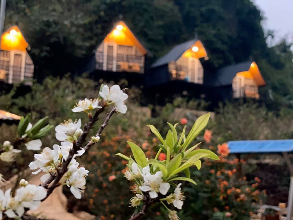 82540237_781454899000404_8679763420678979584_n