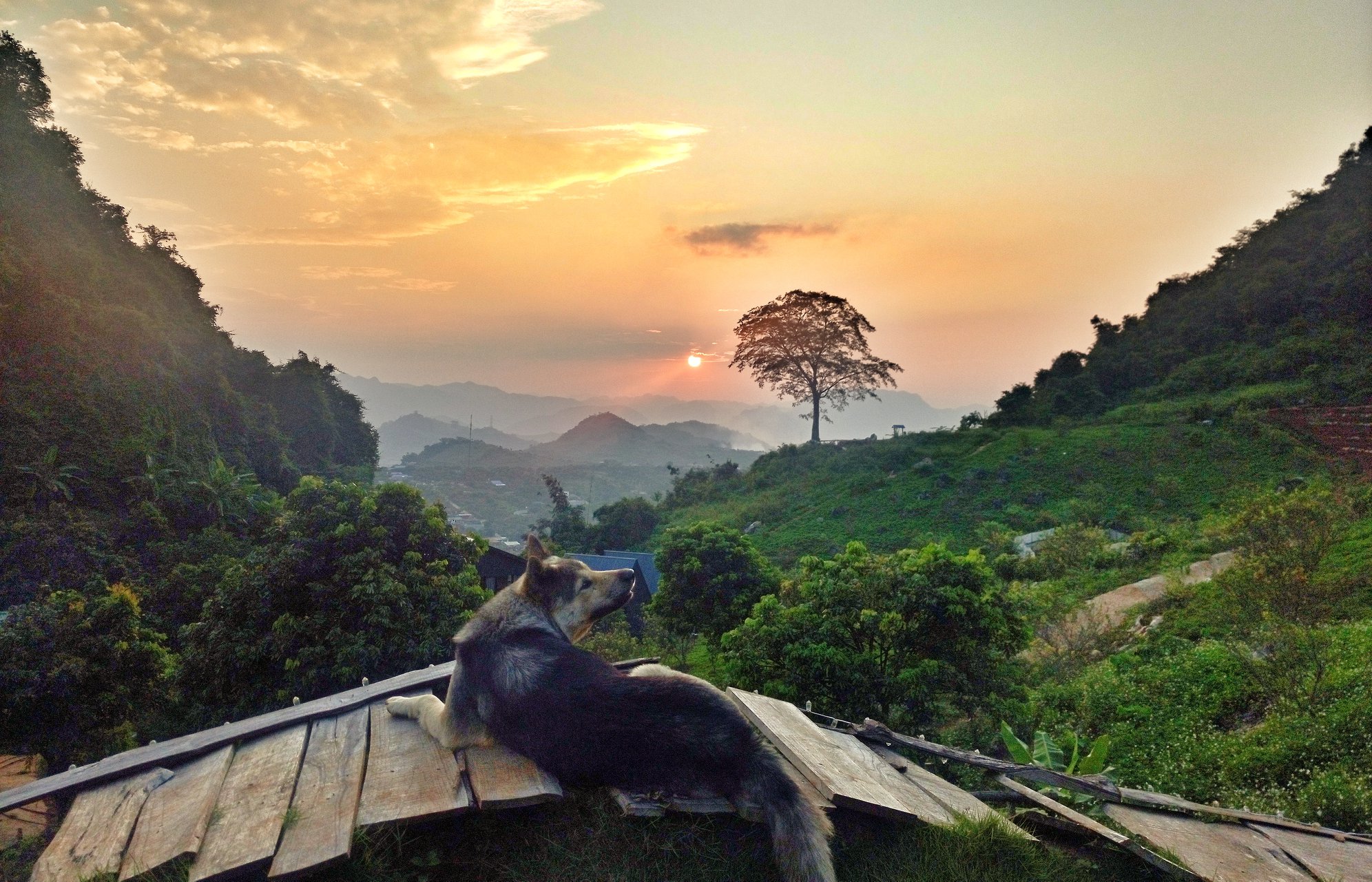 84565087_795898737556020_6195009614560362496_o