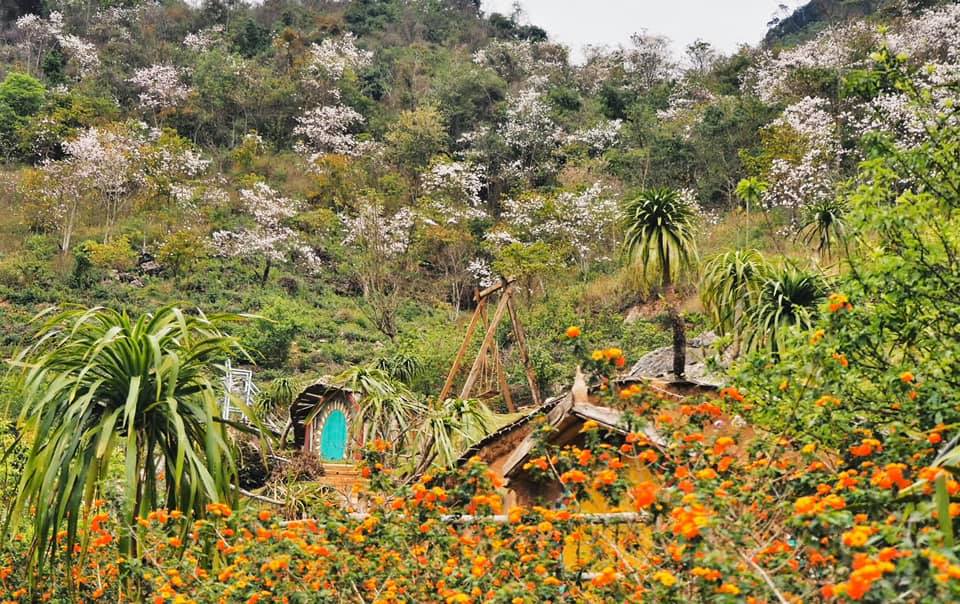 90059668_823046114841282_1004506032065478656_n