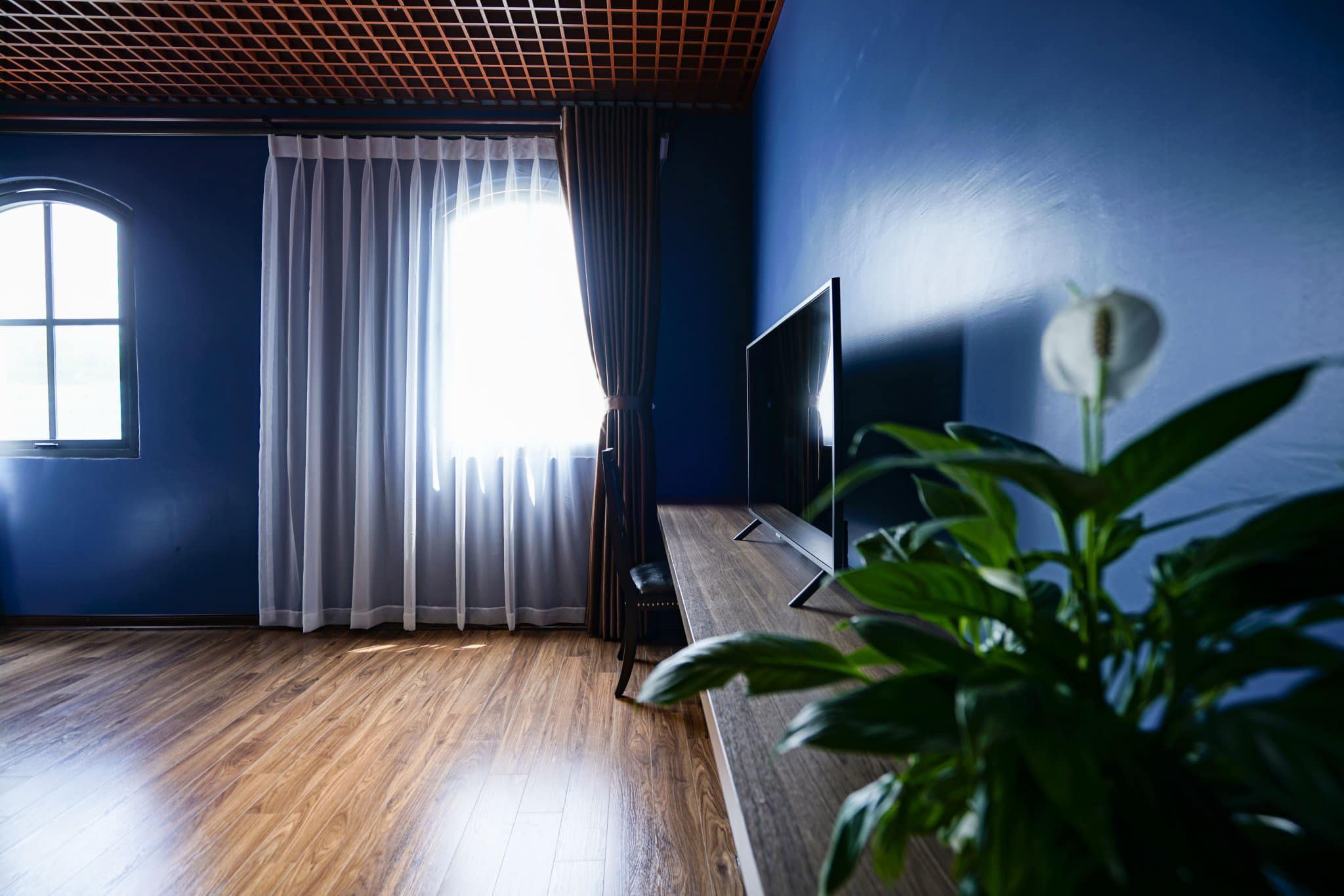 95384287_3012964602113543_198720646362955776_o