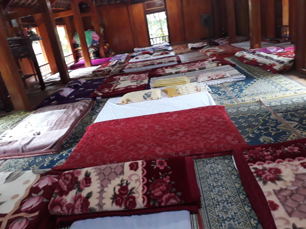 c75acc9f97a779f920b6