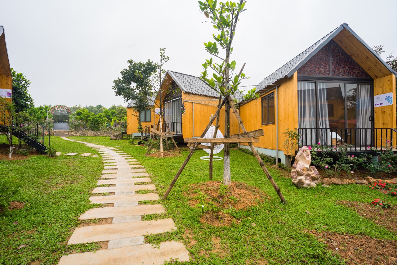 z2479575541879_16ba42b8b97aec832094fe86be6731ef