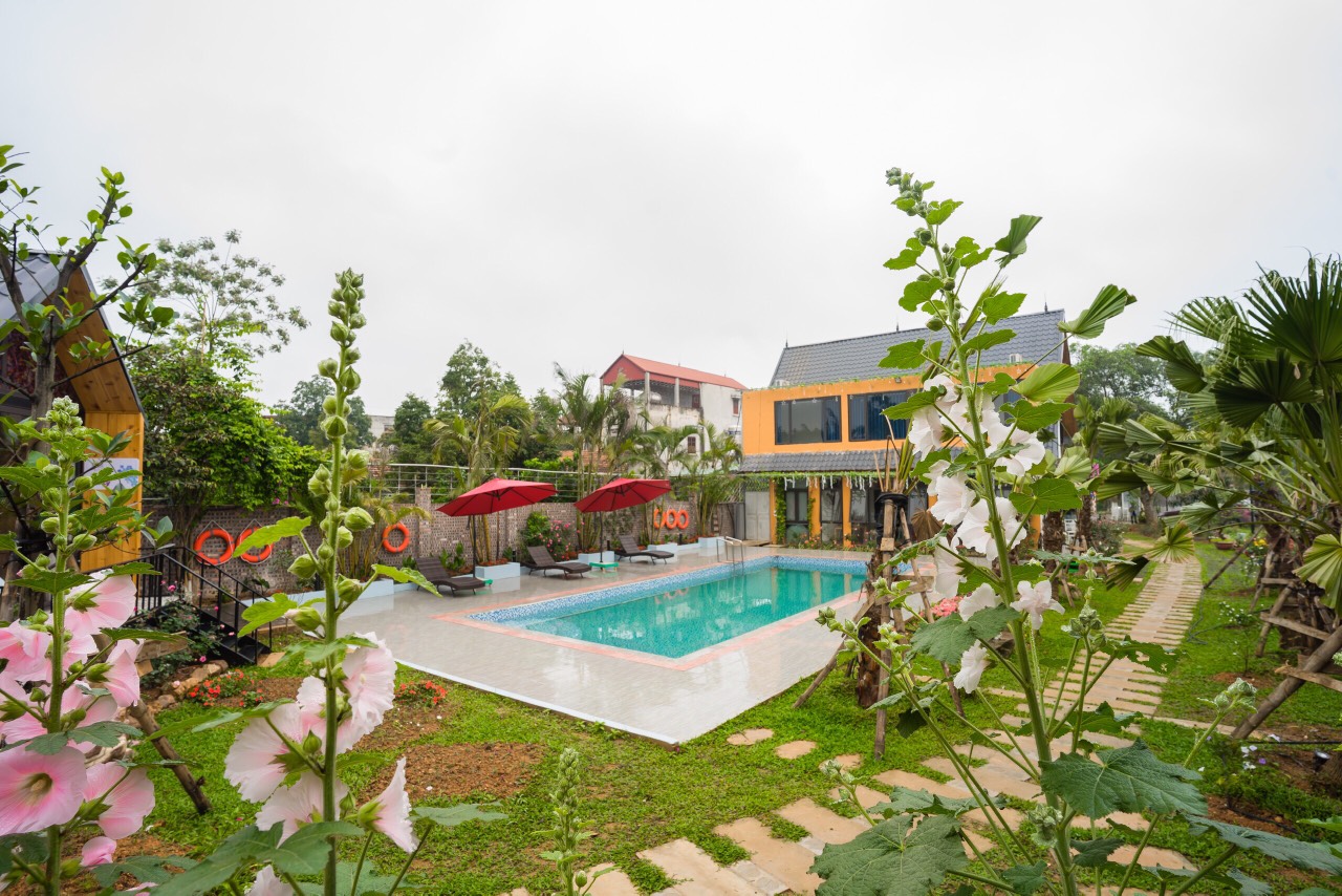 z2479575549140_d1cadacea6ff865ddc048f64a3253ed1